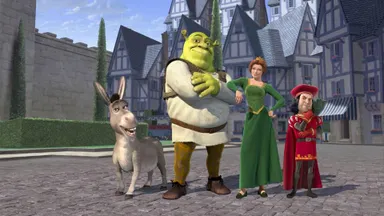 Animations