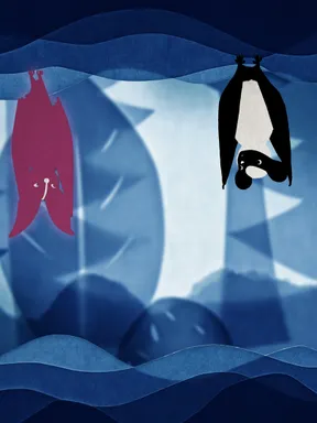 Animations