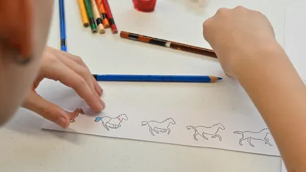 Animations