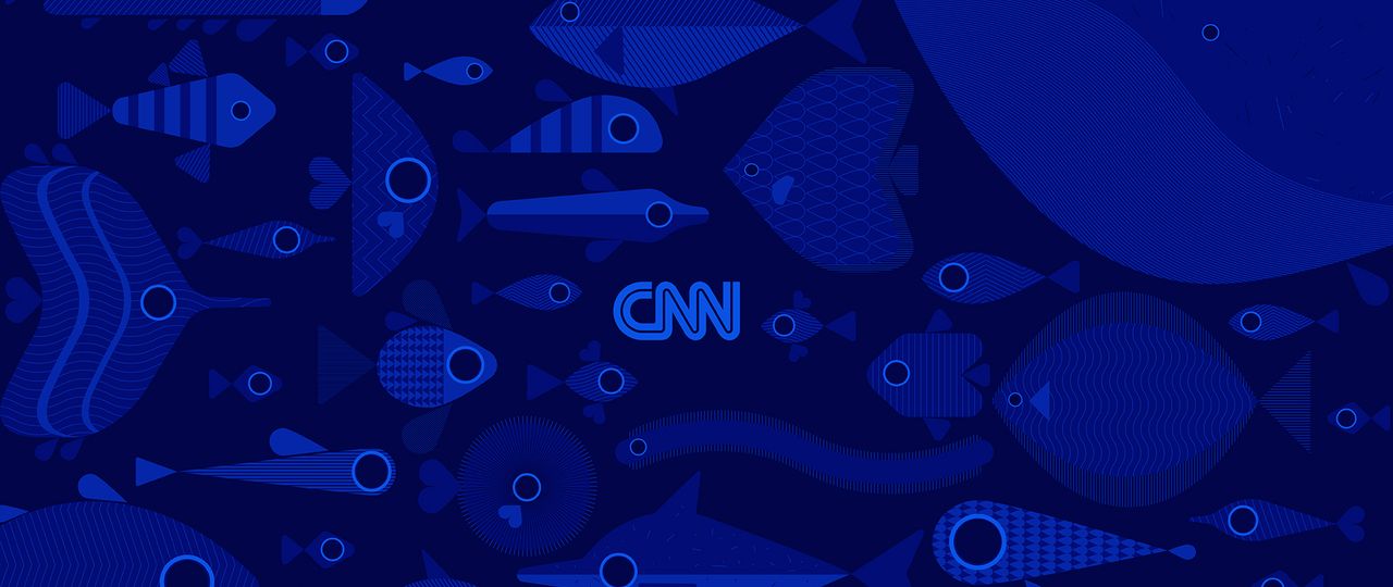 CNN - Blue