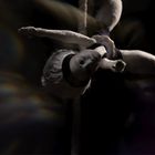 In perpetuum