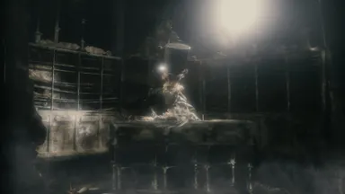 Animations
