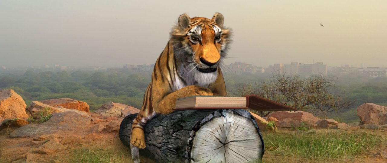 Save the Tiger 