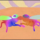 14th Anibar Animation Festival "Trailer: Love"