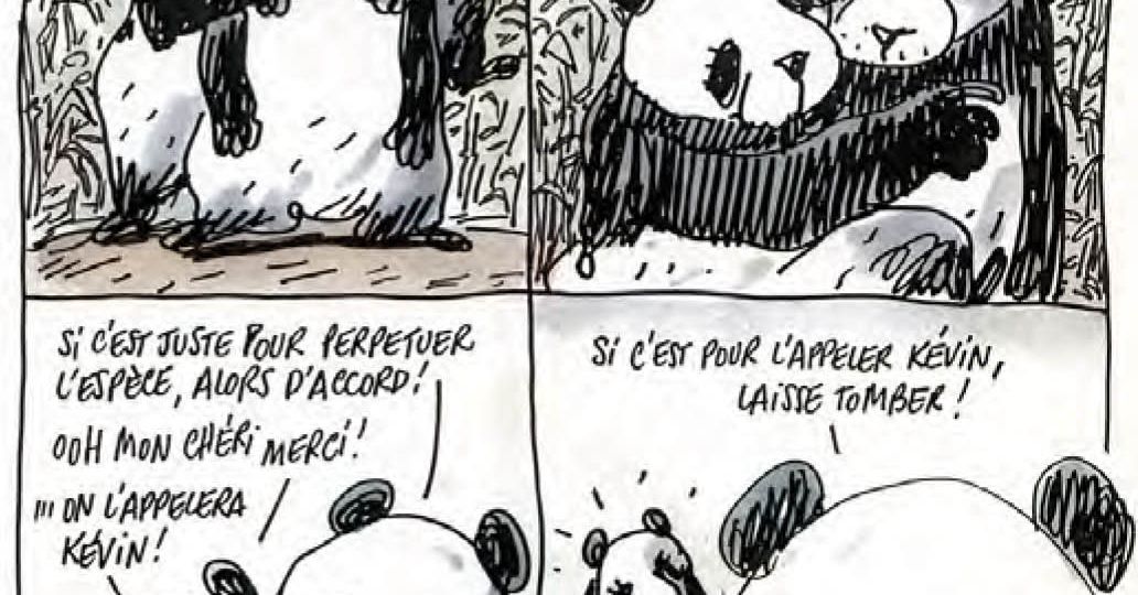 Les pandas