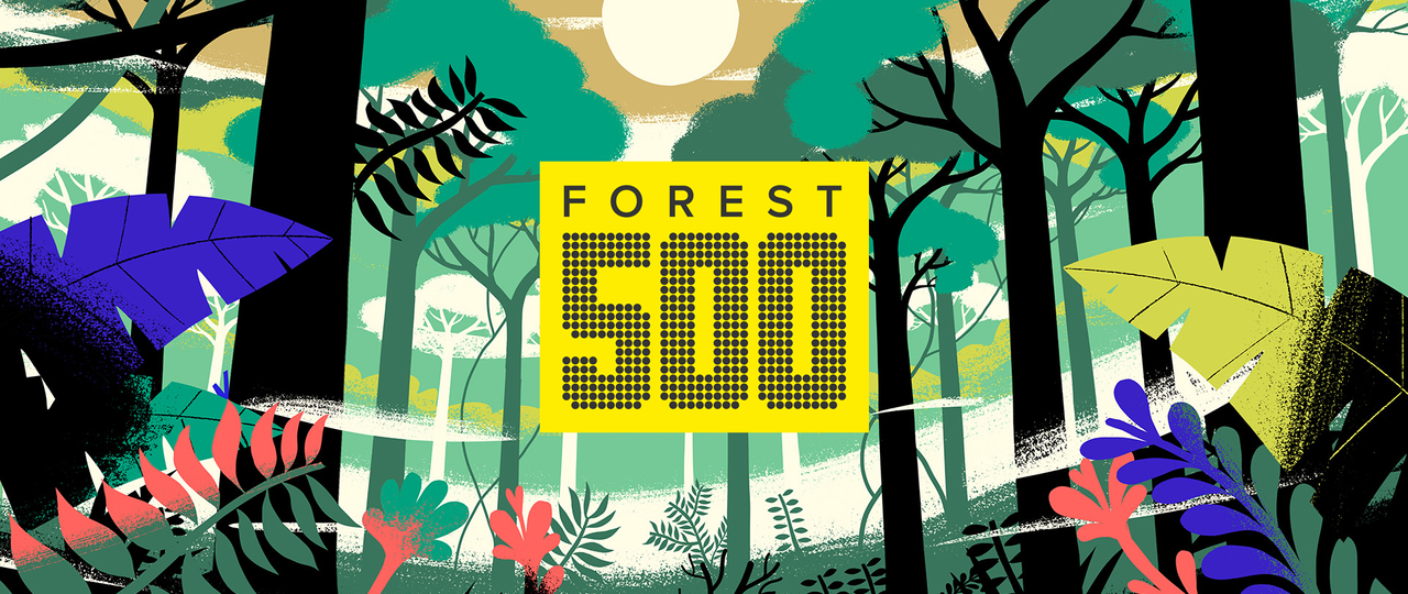 Forest 500