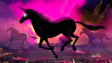 Animations