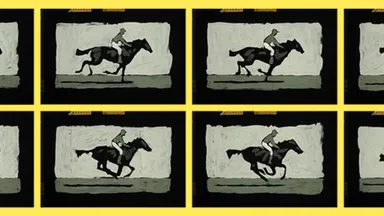 Animations