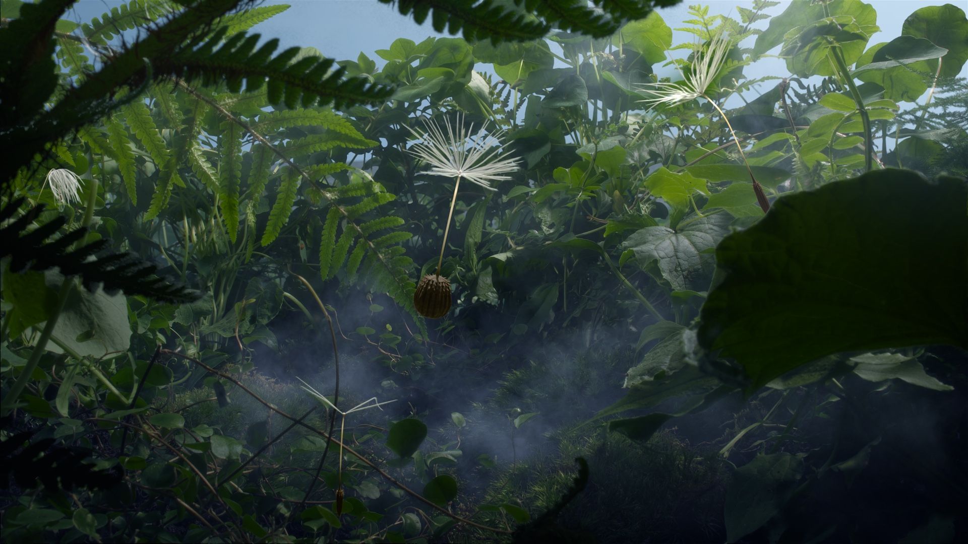 Planètes