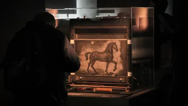 Animations