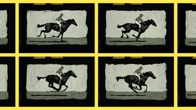 Animations