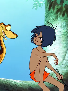 Animations