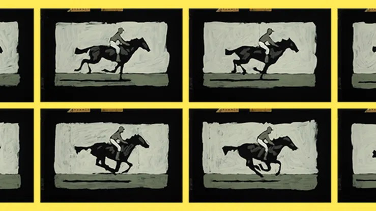 Animations