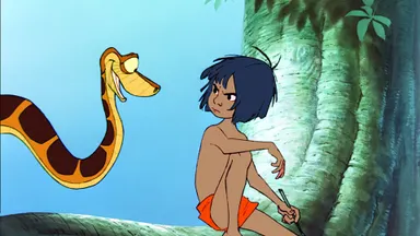 Animations